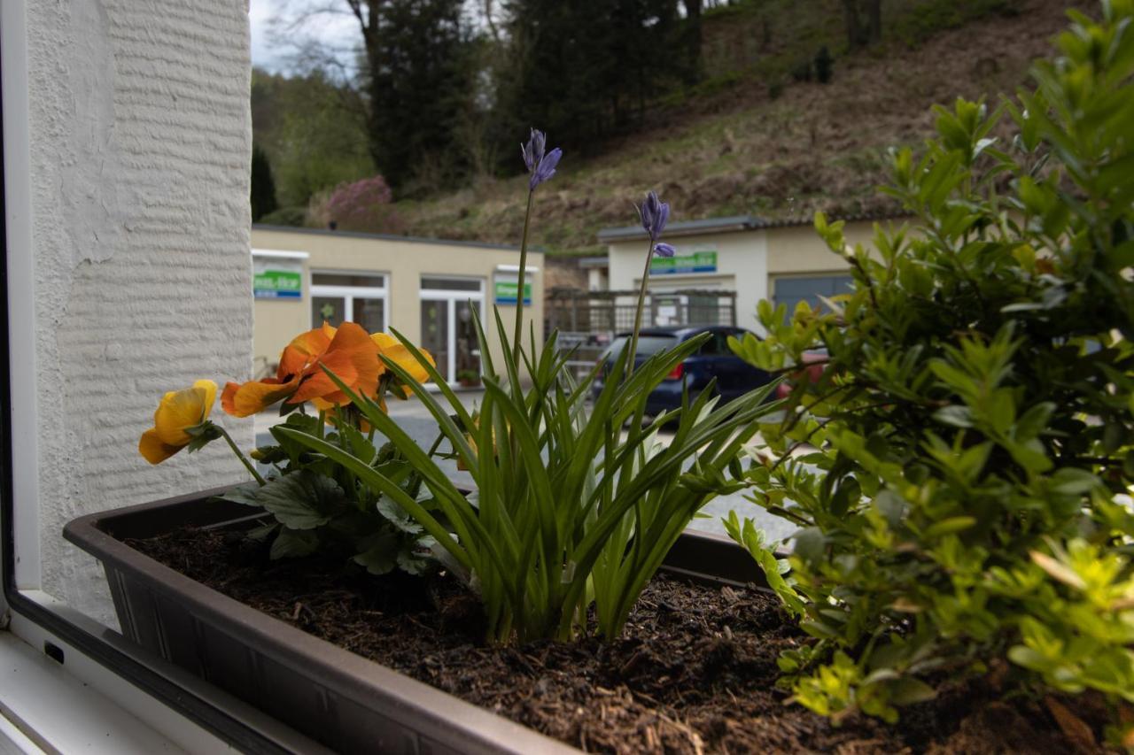 Pension Hönel-Hof Bad Schandau Exterior foto